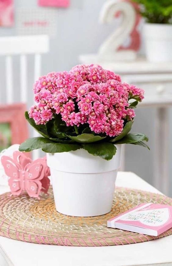 Pinterest