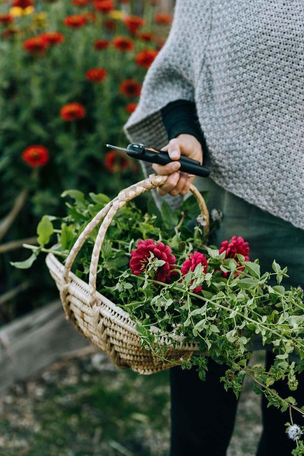 Фотография:  в стиле , Прованс и Кантри, Скандинавский, Дом, Ландшафт, Белый, Голубой, Эко, Истории людей – фото на INMYROOM