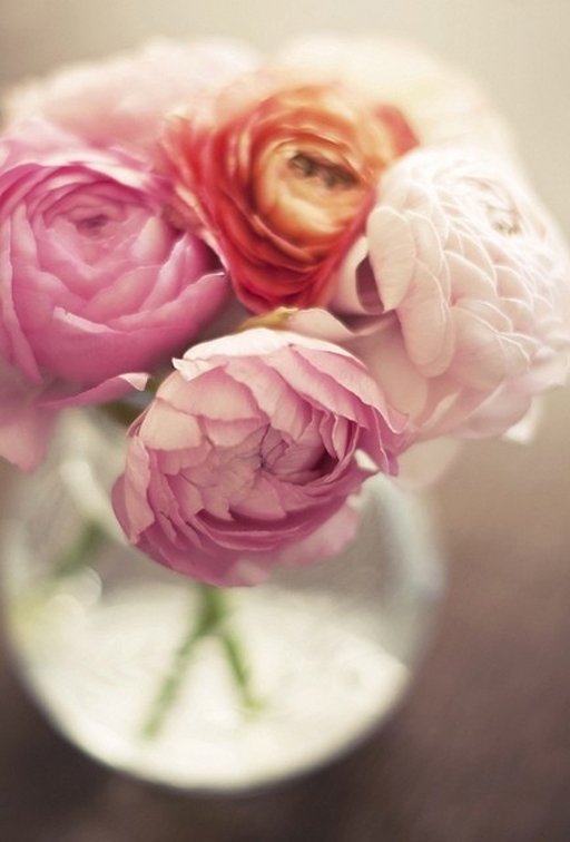 Фотография: Флористика в стиле , Декор интерьера, Декор дома, Декор свадьбы, Цветы, Свадебный декор – фото на INMYROOM