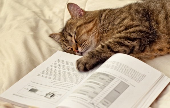 Фотография:  в стиле  – фото на INMYROOM