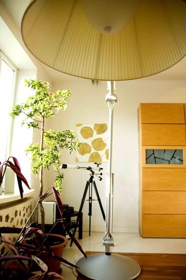 Фотография: Мебель и свет в стиле Лофт, Декор интерьера, Дом, Декор дома, Картина – фото на INMYROOM