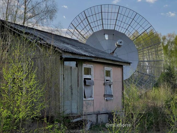 Фотография:  в стиле , LIFESTYLE – фото на INMYROOM