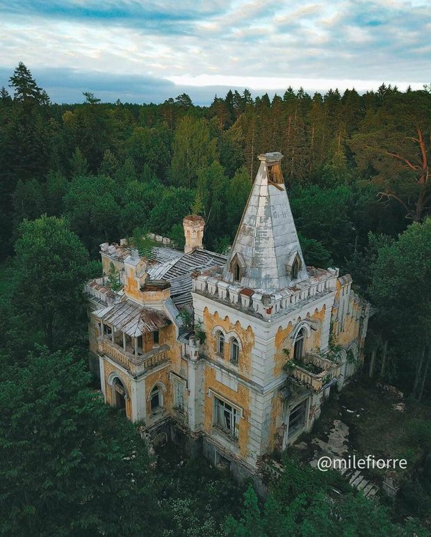 Фотография:  в стиле , LIFESTYLE – фото на INMYROOM