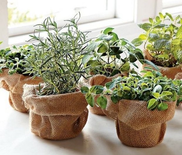 Фотография: Флористика в стиле , Декор интерьера, DIY, Дом – фото на INMYROOM