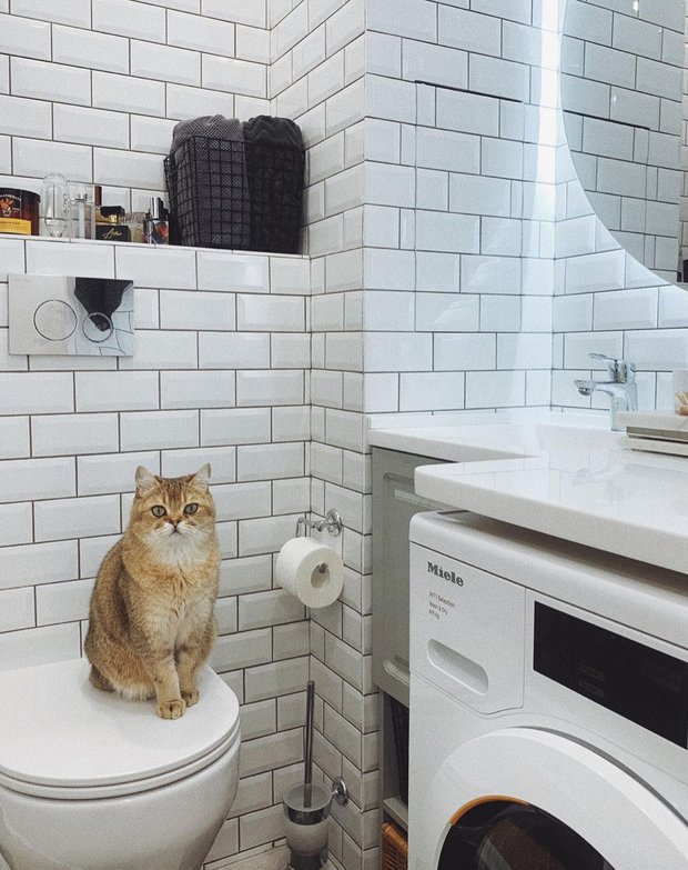 Фотография:  в стиле , Ремонт на практике, Панельный дом – фото на INMYROOM