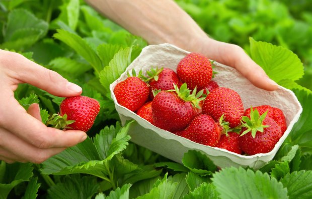 Фотография:  в стиле , Обзоры, Полезные продукты, Здоровье – фото на INMYROOM