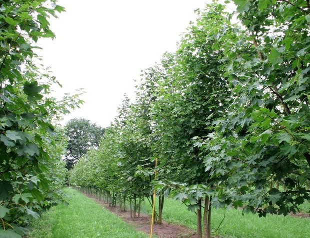 Фотография:  в стиле , Советы – фото на INMYROOM