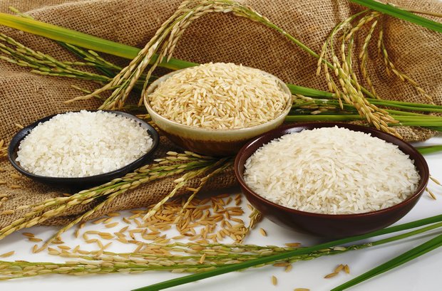 Фотография:  в стиле , Обзоры, Секреты кулинарии, Полезные продукты, Рис – фото на INMYROOM