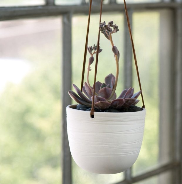 Фотография: Прочее в стиле , Флористика, Стиль жизни – фото на INMYROOM