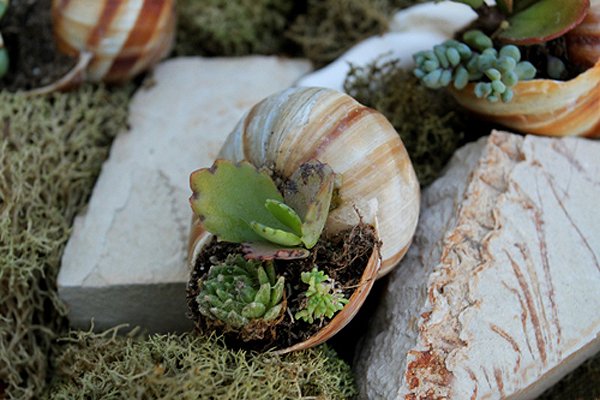 Фотография: Флористика в стиле , Стиль жизни – фото на INMYROOM