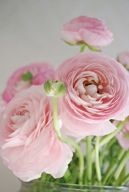 Фотография: Флористика в стиле , Декор интерьера, Декор дома, Декор свадьбы, Цветы, Свадебный декор – фото на INMYROOM