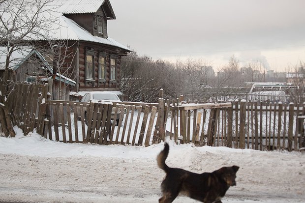 Адрес: пос. Терехово, 81, стр. 1