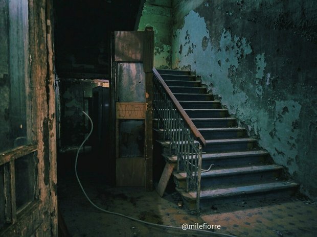 Фотография:  в стиле , LIFESTYLE – фото на INMYROOM