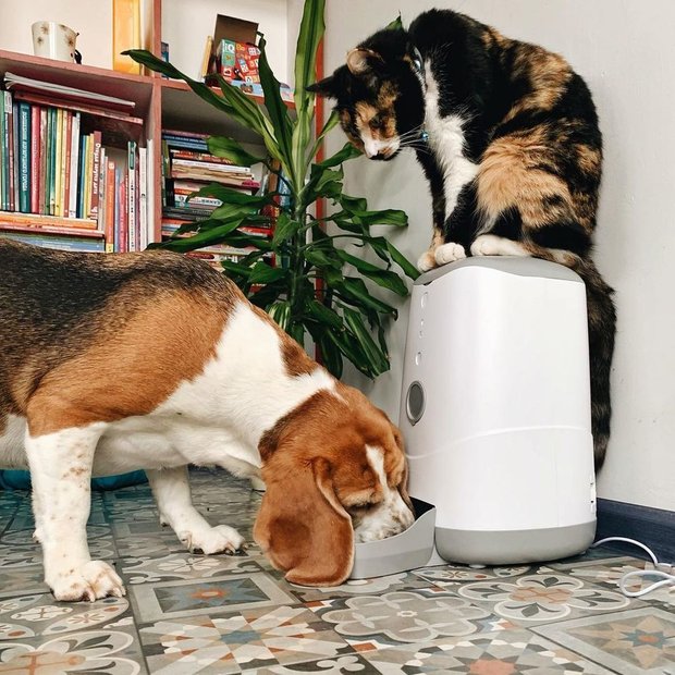 Фотография: Кухня и столовая в стиле Скандинавский, Цвет в интерьере, Советы, Philips, свет, телевизор, Ambilight – фото на INMYROOM