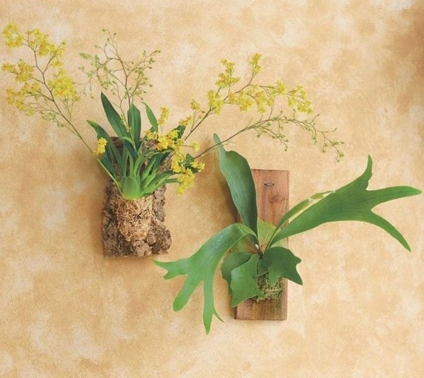 Фотография: Прочее в стиле , Флористика, Стиль жизни – фото на INMYROOM