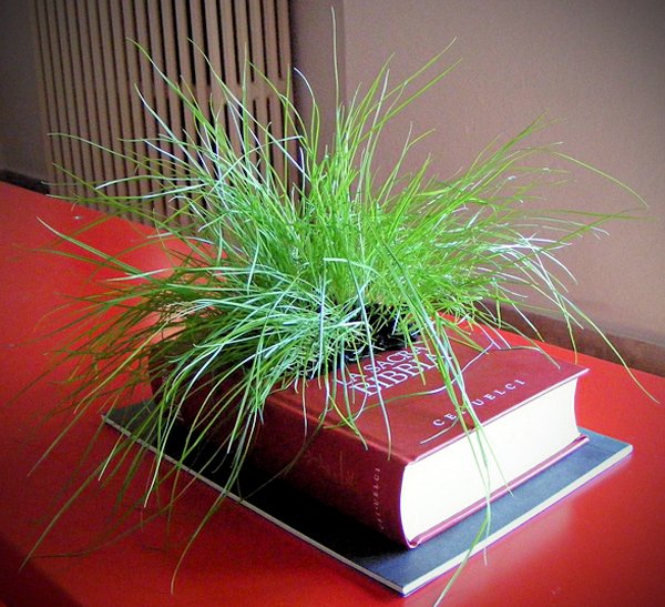 Фотография: Флористика в стиле , Эклектика, Декор интерьера, DIY, Текстиль – фото на INMYROOM