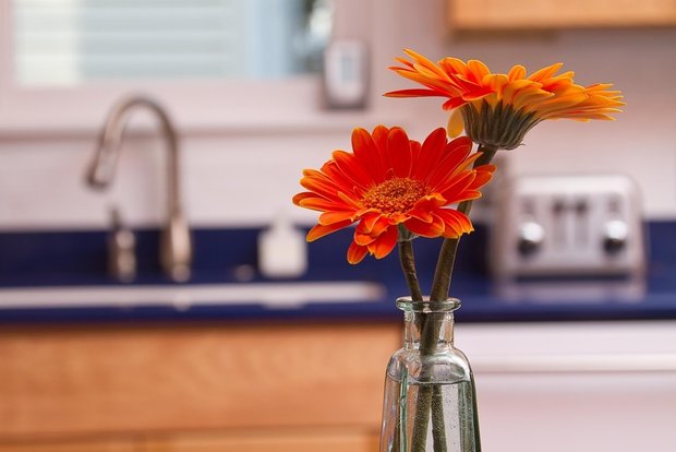 Фотография:  в стиле ,  – фото на INMYROOM