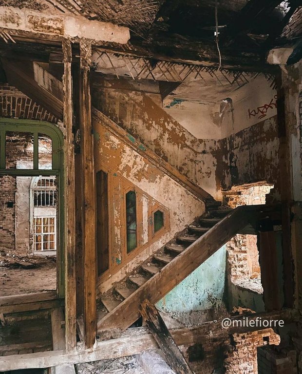 Фотография:  в стиле , LIFESTYLE – фото на INMYROOM
