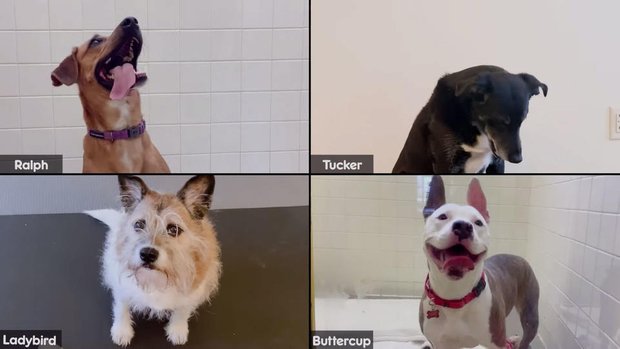 Фотография:  в стиле  – фото на INMYROOM