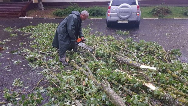 Фотография:  в стиле  – фото на INMYROOM