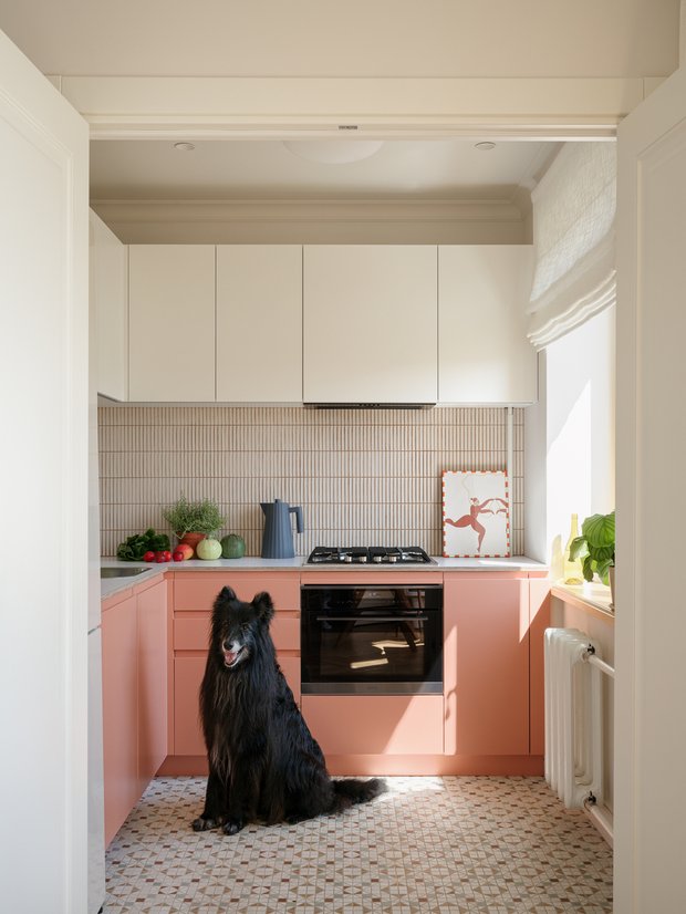 Дизайн: Анастасия Заркуа