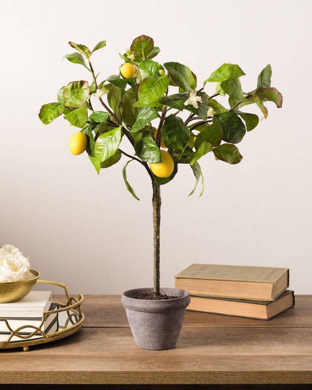 Фотография:  в стиле , Гид – фото на INMYROOM