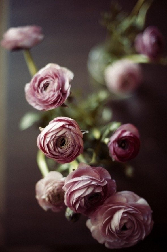 Фотография: Флористика в стиле , Декор интерьера, Декор дома, Декор свадьбы, Цветы, Свадебный декор – фото на INMYROOM