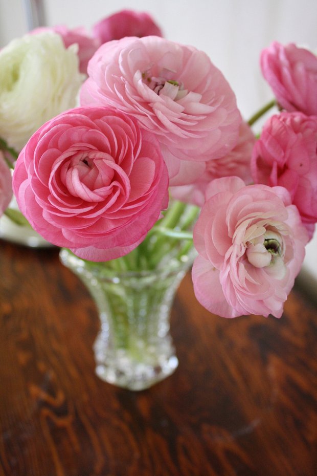 Фотография: Флористика в стиле , Декор интерьера, Декор дома, Декор свадьбы, Цветы, Свадебный декор – фото на INMYROOM