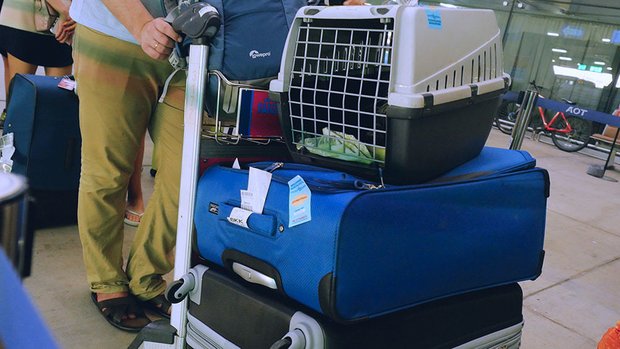 Фотография: в стиле – фото на INMYROOM