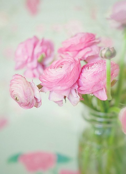 Фотография: Флористика в стиле , Декор интерьера, Декор дома, Декор свадьбы, Цветы, Свадебный декор – фото на INMYROOM