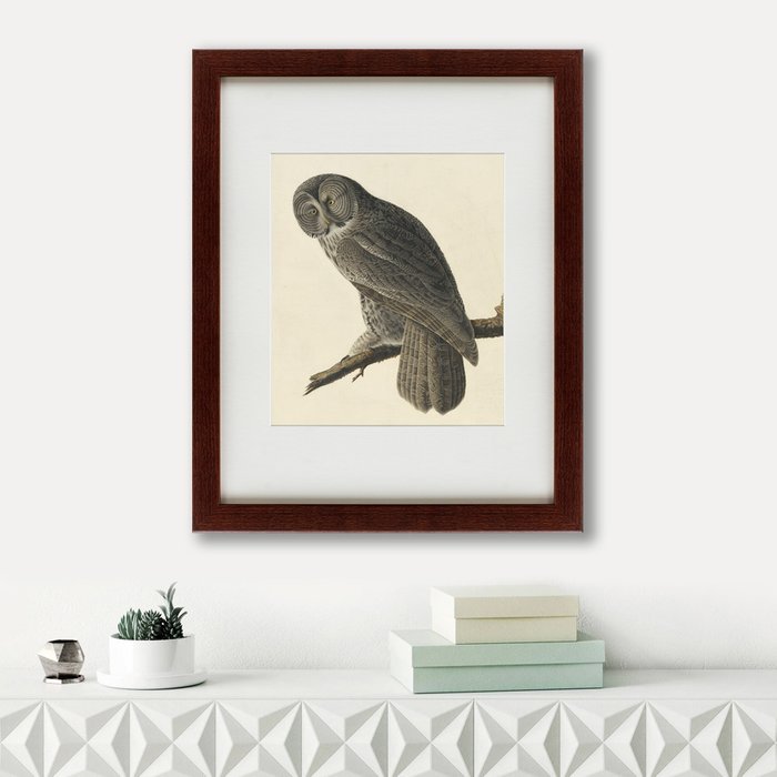 Картина Great Gray Owl 1834 г. 