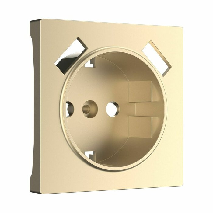 Накладка для USB розетки шампань W1179511 Накладка для USB розетки шампань W1179511