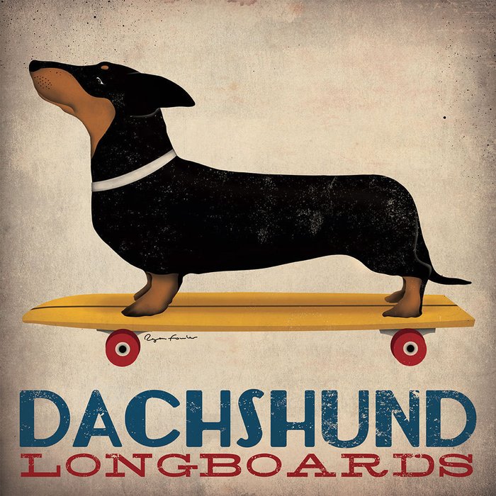 Репродукция картины на холсте Dachshund Longboards 