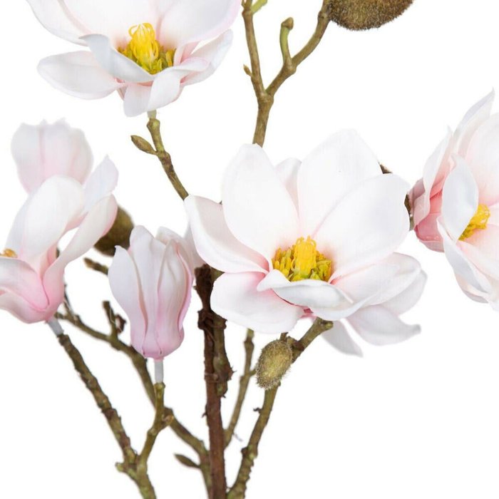 Декоративное растение полиэстер полиэтилен Железо 25 x 25 x 49 cm Magnolia - лучшие Декоративные цветы в INMYROOM