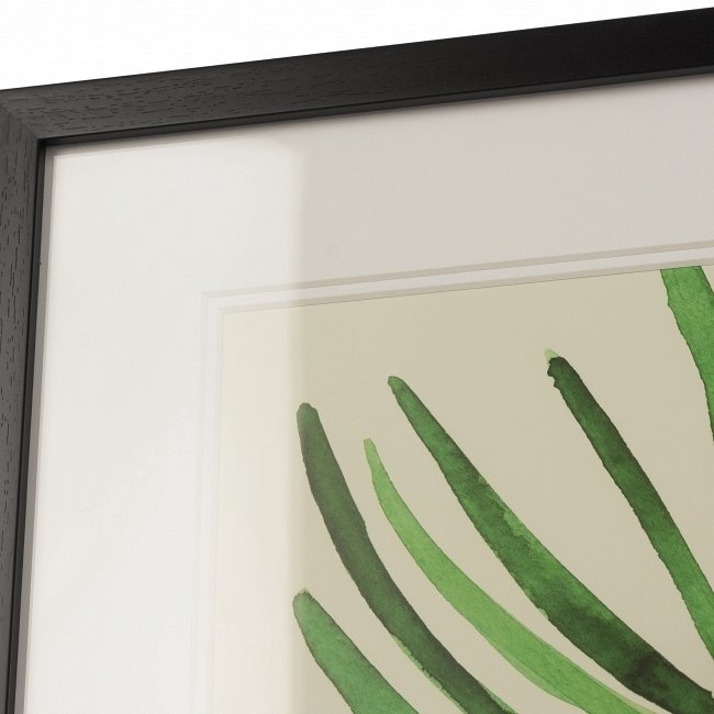 Постер в раме Palm 3 с изображением листа пальмы  - купить Картины по цене 8755.0