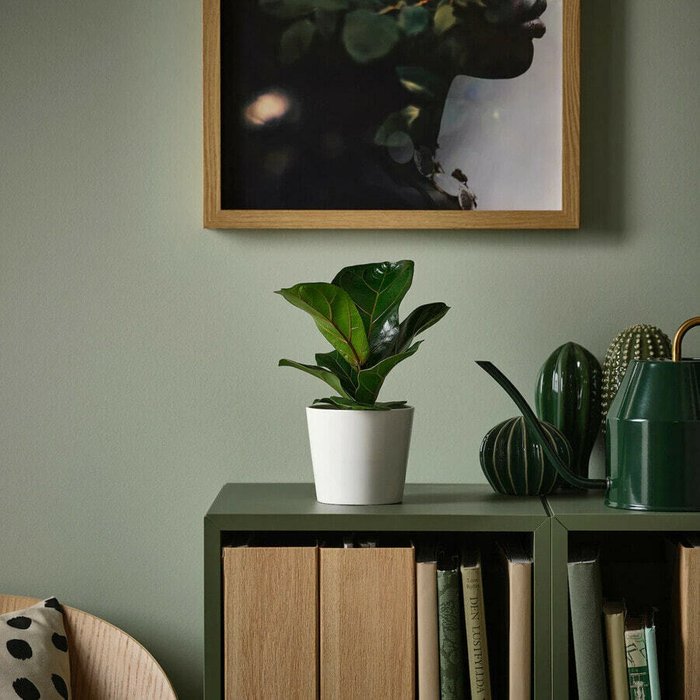 Корзины-подставки для цветочных растений, инжир-скрипка, 9 см - купить Декоративные цветы по цене 2194.0
