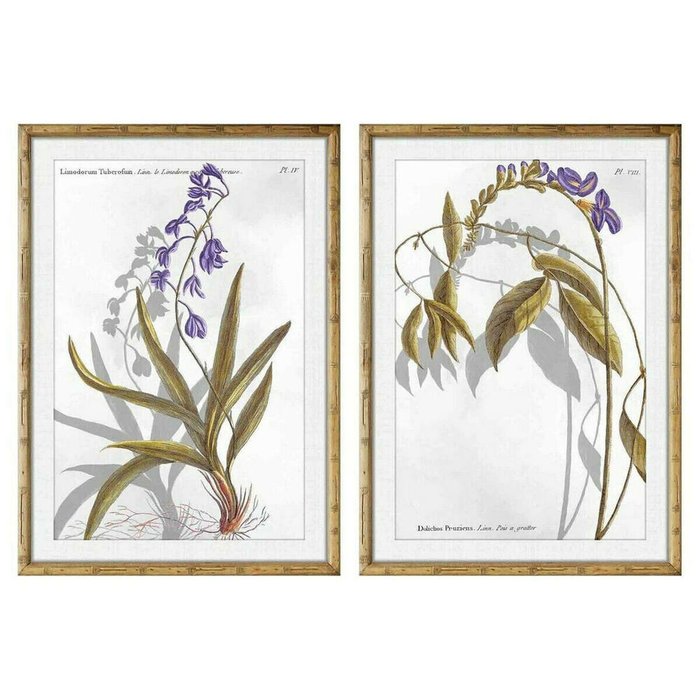 Картина 50 x 2 x 70 cm современный Ботанические растения (2 штук)