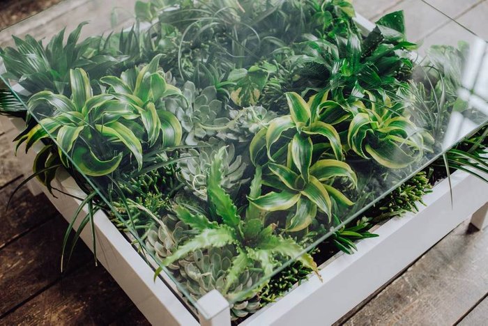 Журнальный столик с искусственными растениями - лучшие Журнальные столики в INMYROOM