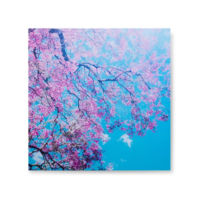 Картина Sakura из четырех частей - купить Картины по цене 16319.0