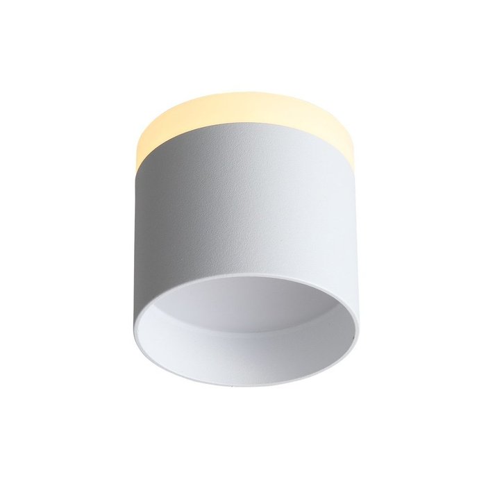 Светильник потолочный Panaggio белого цвета - лучшие Потолочные светильники в INMYROOM