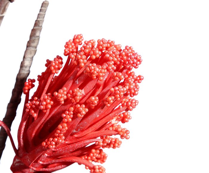 Цветочный декор красного цвета - лучшие Декоративные цветы в INMYROOM