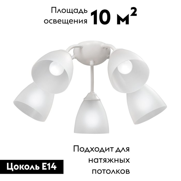 Потолочная люстра V3737-0/5PL (пластик, цвет белый) - купить Потолочные люстры по цене 3919.0