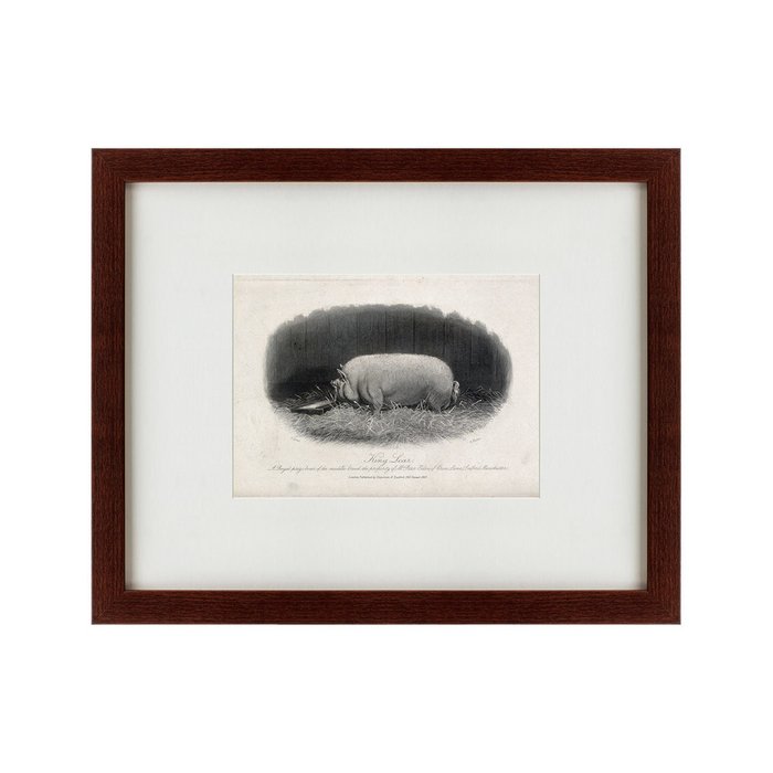 Картина A prize boar 1867 г. - купить Картины по цене 4990.0