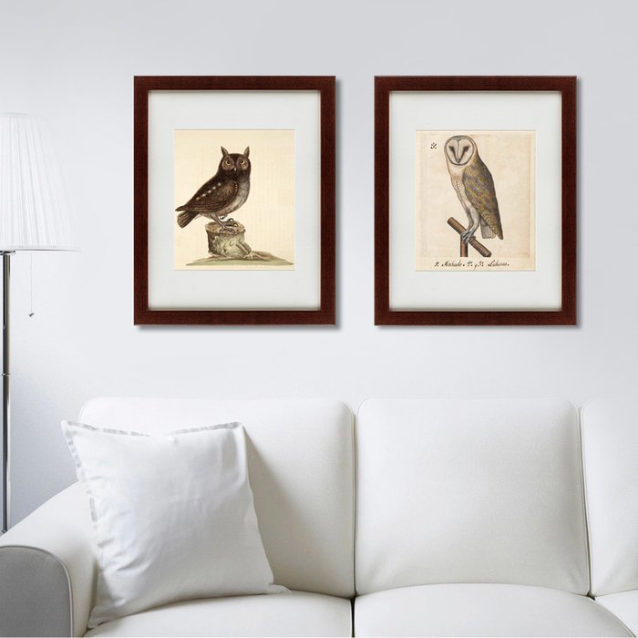 Картина The Little owl 1731 г. - лучшие Картины в INMYROOM