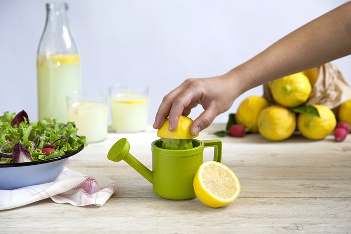 Соковыжималка для лимонов Lemoniere зеленого цвета - купить Аксессуары для кухни по цене 1240.0