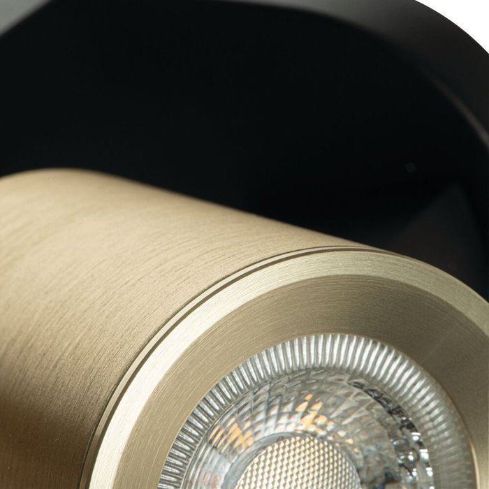 спот накладной Laurin 38961 (металл, цвет золото) - лучшие Накладные споты в INMYROOM спот накладной Laurin 38961 (металл, цвет золото) - лучшие Накладные споты в INMYROOM