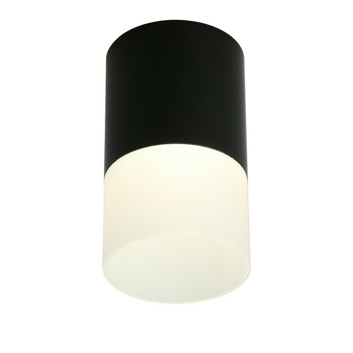 Потолочный светодиодный светильник Ercolano черного цвета