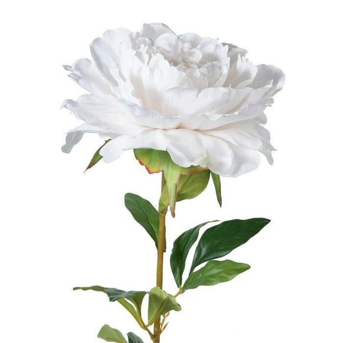 Искусственный цветок Пион белого цвета - лучшие Декоративные цветы в INMYROOM