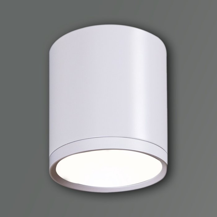 Накладной светильник 81050-9.5-001RT LED5W WT (металл, цвет белый) Накладной светильник 81050-9.5-001RT LED5W WT (металл, цвет белый)