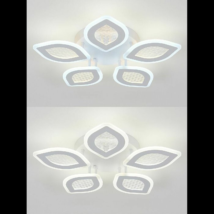 Потолочная люстра LED Light LED LAMPS 81167 (акрил, цвет белый) - лучшие Потолочные люстры в INMYROOM